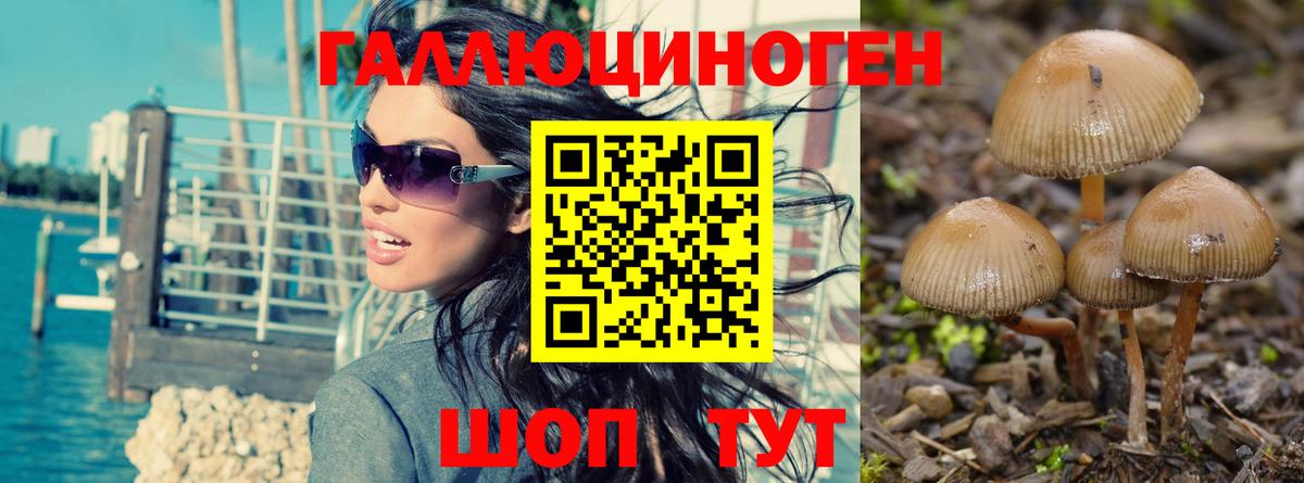 Галлюциногенные грибы прущие грибы  Псилоцибиновые грибы мухоморы  купить наркотики сайты  Аксай  Вход с VPN 