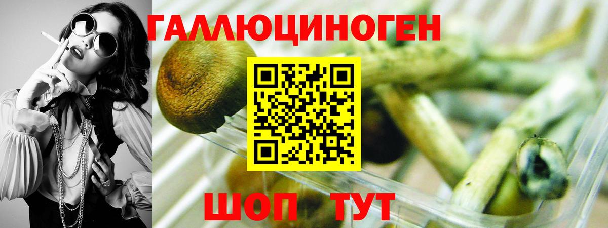 Псилоцибиновые грибы мицелий Аксай