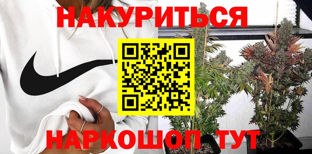 Бошки марихуана планчик  Вход с VPN  Бошки марихуана планчик  Канабис White Widow  Каннабис OG Kush  Аксай 